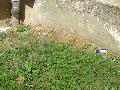 dsc00065