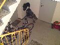 dsc00076