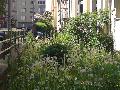 gartenarbeiten zweimal im jahr 2011 gartenarbeiten zweimal im jahr 2011