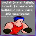 boxer.jpg