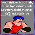 boxer