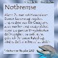 notbremse