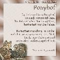 ponyhof