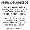 seelenbaumeltage