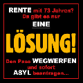 die Lösung