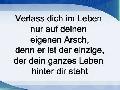 mein arsch