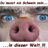 schweinerei sowas