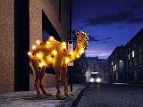 camel lichterkette