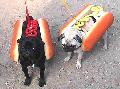 hotdogs