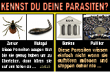 parasiten