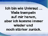 unkraut